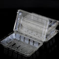 PCCL – Plastic Clear Container hinged Large 100pcs (20)