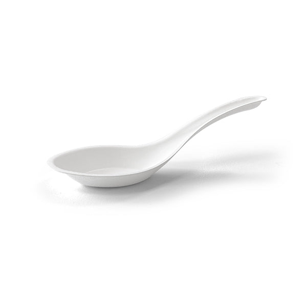 Sugarcane Chinese spoon 1000pcs (10)