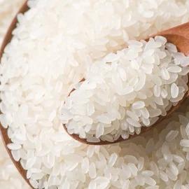 SunRice Sushi Rice 20kg (1)