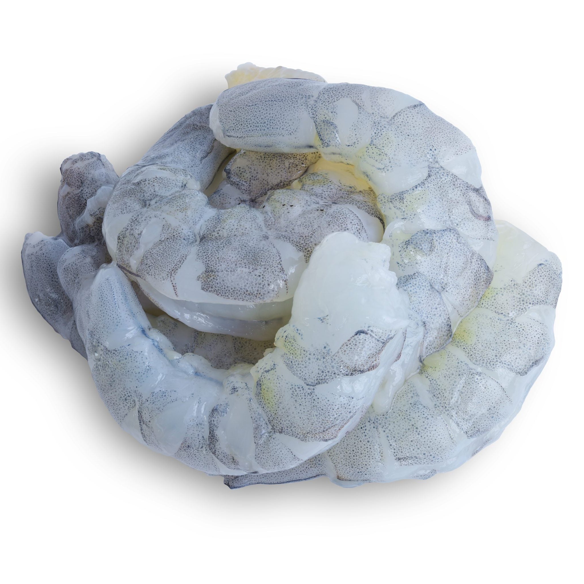 Raw Prawn Meat 26/30 IQF (10)