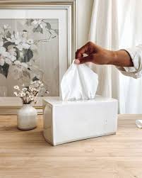 2Ply Facial Tissue 180 Sheets 32 Boxes (1)